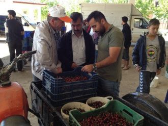 Başkan Erdoğan’dan Meyve Alım Merkezine Ziyaret