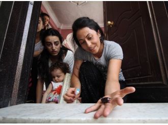 Dünyanın En Nadir Görülen Böceği Misafirleri Oldu