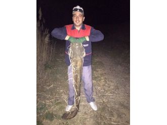 Amatör Balıkçı Kızılırmak’da 30 Kiloluk Yayın Balığı Yakaladı