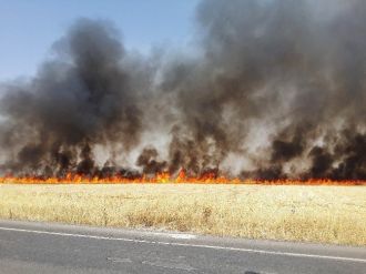 Diyarbakır’da Korkutan Yangın