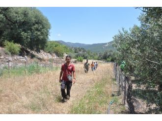 Köyceğiz’de Komandolar Kaybolan Yaşlı Kadını Aradı