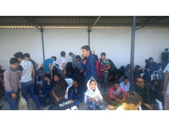 113 Kaçak Göçmen Yakalandı