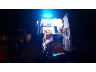 Midyat’ta Kamyon Eşeğe Çarptı: 1 Ölü, 1 Yaralı