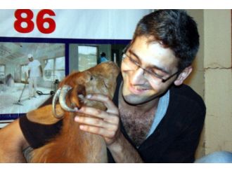 (Özel Haber) Köpek Yerine Oğlak Besliyor, Aracında Bile Onunla Seyahat Ediyor