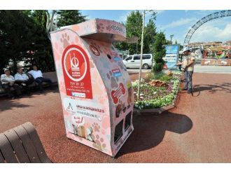 Keçiören’de Geri Dönüşümlü Pet Şişeler Sokak Hayvanlarını Doyuruyor