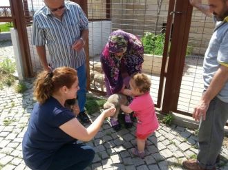 Hayvan Bakımevi Ramazan’da Ziyarete Açık