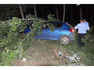 Otomobil Tarlaya Uçtu: 1 Yaralı