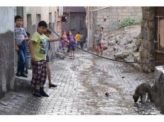 Sıcaklar Kavurmaya Başladı