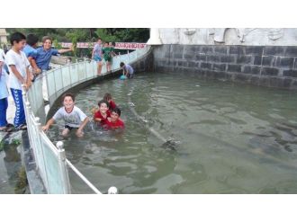 Çocuklar Serinlemek İçin Süs Havuzu Girdi