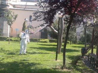 Ortahisar, Yeşile Büründü