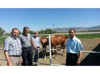 İl Müdürü Çolakoğlu’ndan Çiftlik Ziyareti