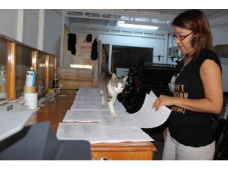 Pakize Nankör Çıkmadı