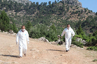 Yabani Hayvanlar Kuduza Karşı Aşılandı 