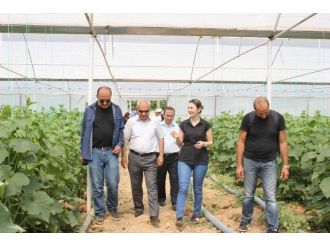 İl Müdürü Yılmaz İyi Tarım Uygulamaları Yapan Üreticileri Ziyaret Etti