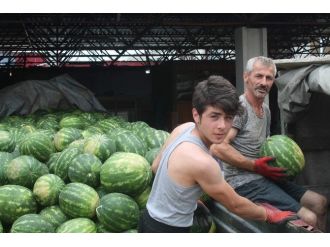 Trabzon’da Havaların Serin Ve Yağışlı Gitmesi Karpuz Satışını Vurdu