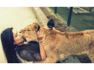 Steve Irwın’ın Tahtına Türk Aday