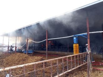 İki Bin Balya Yandı