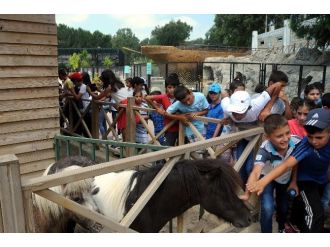 İştar Kursiyeri Çocuklar Hayvanat Bahçesini Gezdi