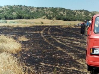 Sungurlu’da 20 Dönüm Ekili Arazi Kül Oldu