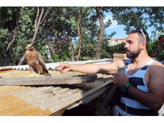 Yavru Kartal Köpeklerle Birlikte Yazlık Evi Bekliyor