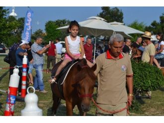 Çocukların Atlara Binme Sevinci