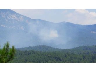 Kazdağları Alev Aldı