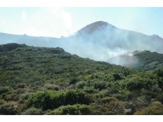 Bodrum’da 121 Hektarlık Alan Kül Oldu