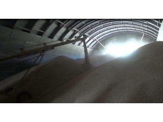 Tmo Sungurlu’da Hububat Alımına Başladı