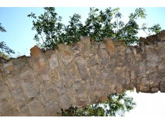 Tarihi Su Kemerinde Büyüyen Ağaç Şaşırtıyor