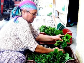 Bağ Yaprağı Alım Fiyatı Üreticileri Sevindirdi