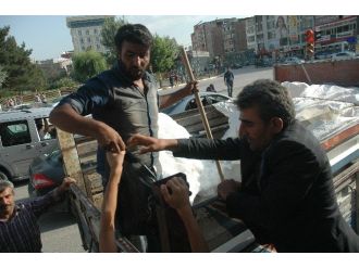 Van’da Kar Satışına Büyük Rağbet