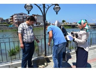 Alaplı Çayı’nda Yakalanan İsrail Sazanı İncelemeye Alındı