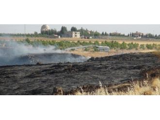 Karga 600 Dönümlük Arazinin Kül Olmasına Neden Oldu