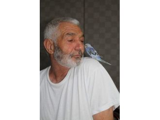Omzundan Hiç İnmiyor