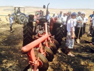 Batman’da Biçilmemiş 12 Dönüm Buğday Tarlası Kül Oldu