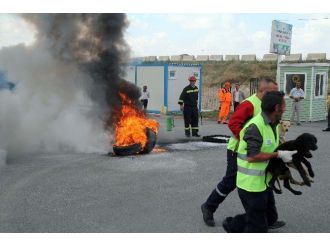 Sahipsiz Hayvanlar Bakımevi’nde Yangın Tatbikatı