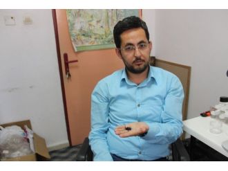 İstanbul’u Alarma Geçiren ’Canavar Böcek’ Bartın’da Da Görüldü