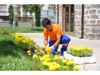 Altındağ Mis Gibi Çiçek Koktu