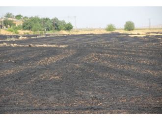 İha’nın Çektiği Görüntüler Yetkilileri Harekete Geçirdi