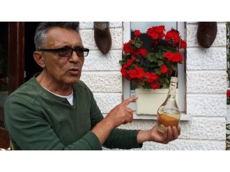 (Özel Haber) Şişe İçerisinde Armut Yetiştirdi