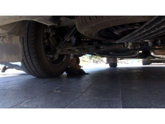 Minibüsün Altına Giren Yavru Kedi Vatandaşları Uğraştırdı