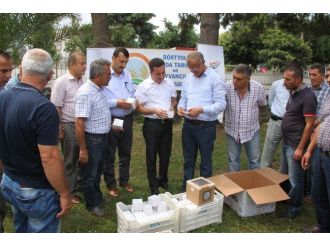 Dörtyol’da Üreticilere Predatör Böcek Dağıtıldı