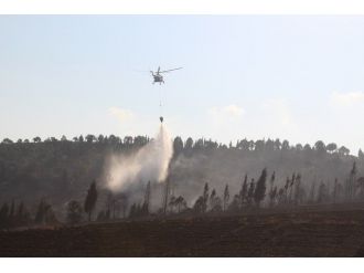 Anız Yangını Ormanı Kül Ediyordu