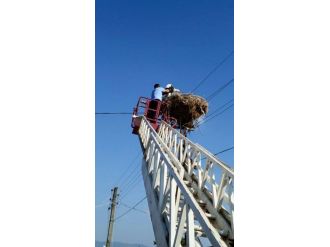 Yuvasından Düşen Leyleğe Şefkat Eli