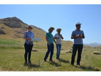 Gergedan Böceği Doğaya Bırakıldı