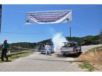 İzmir’de Pire Ve Sivrisinek Karantinası