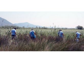 Büyükşehir’den Haşere İle Mücadele Çalışması