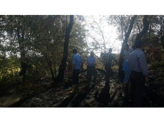 Van’da Bahçe Yangını