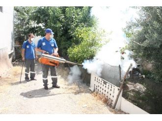 Kumluca’da Sivrisinek İle Mücadele