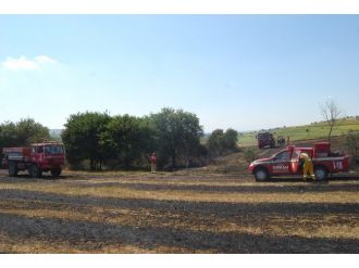 Tarla Yangını Ormana Sıçradı